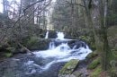 GR5 : La Savoureuse dans la vallée